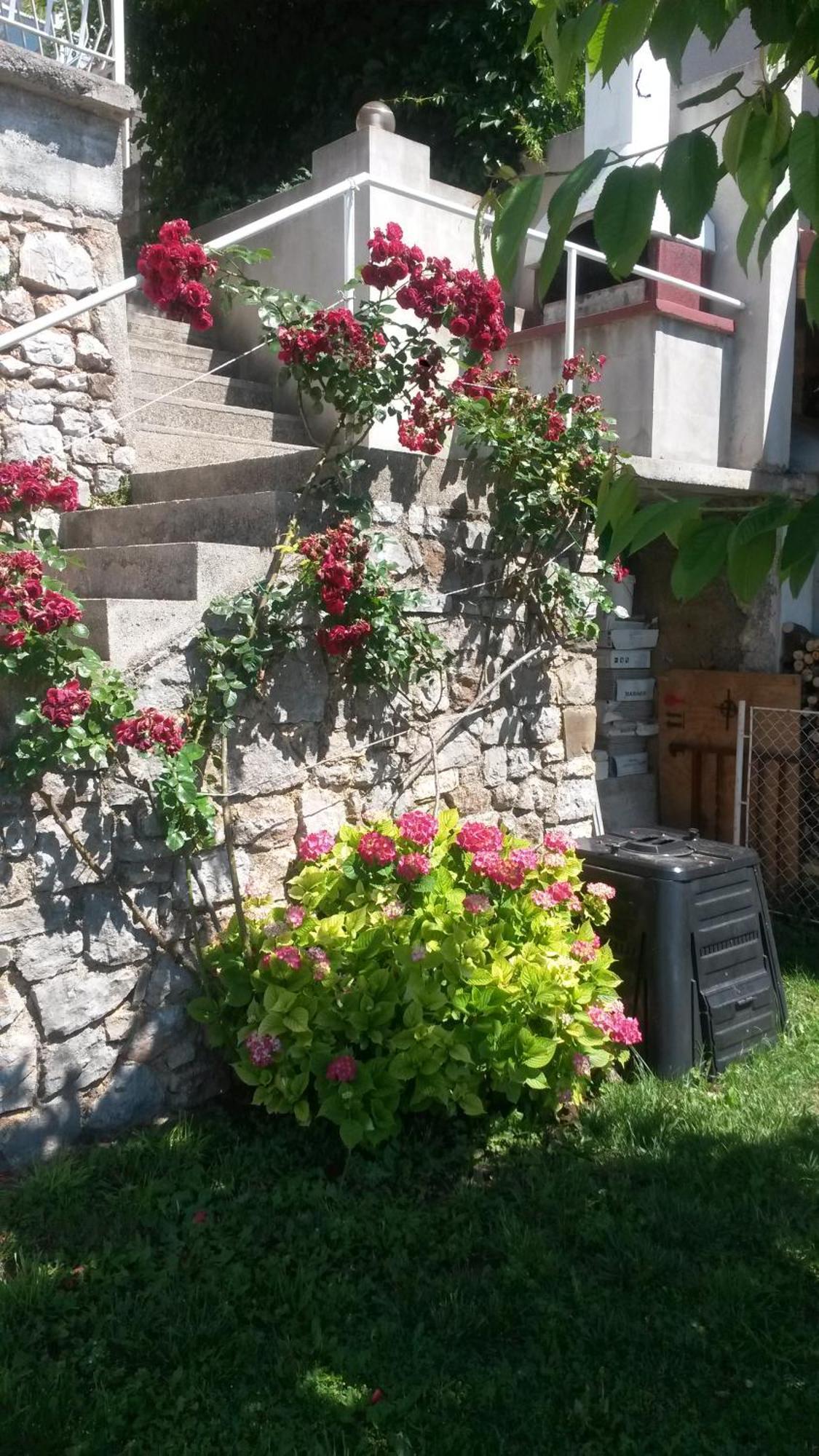 Apartmani Silvana&Vera Senj (Lika-Senj) Exterior foto